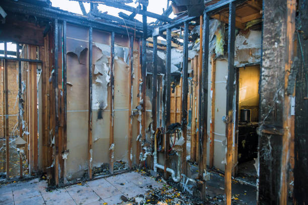 Professional Fire Damage Removal technician working in Elba, AL